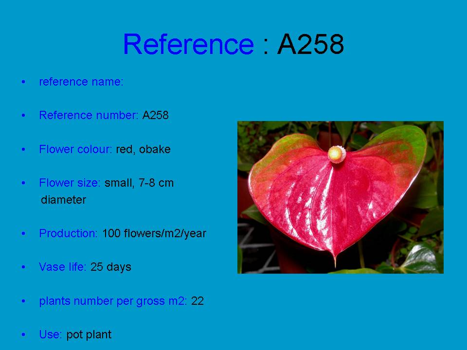 a258